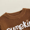 Toddler Fall Knit Sweater