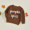 Toddler Fall Knit Sweater